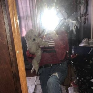 Meet your Posher, Adriyanna